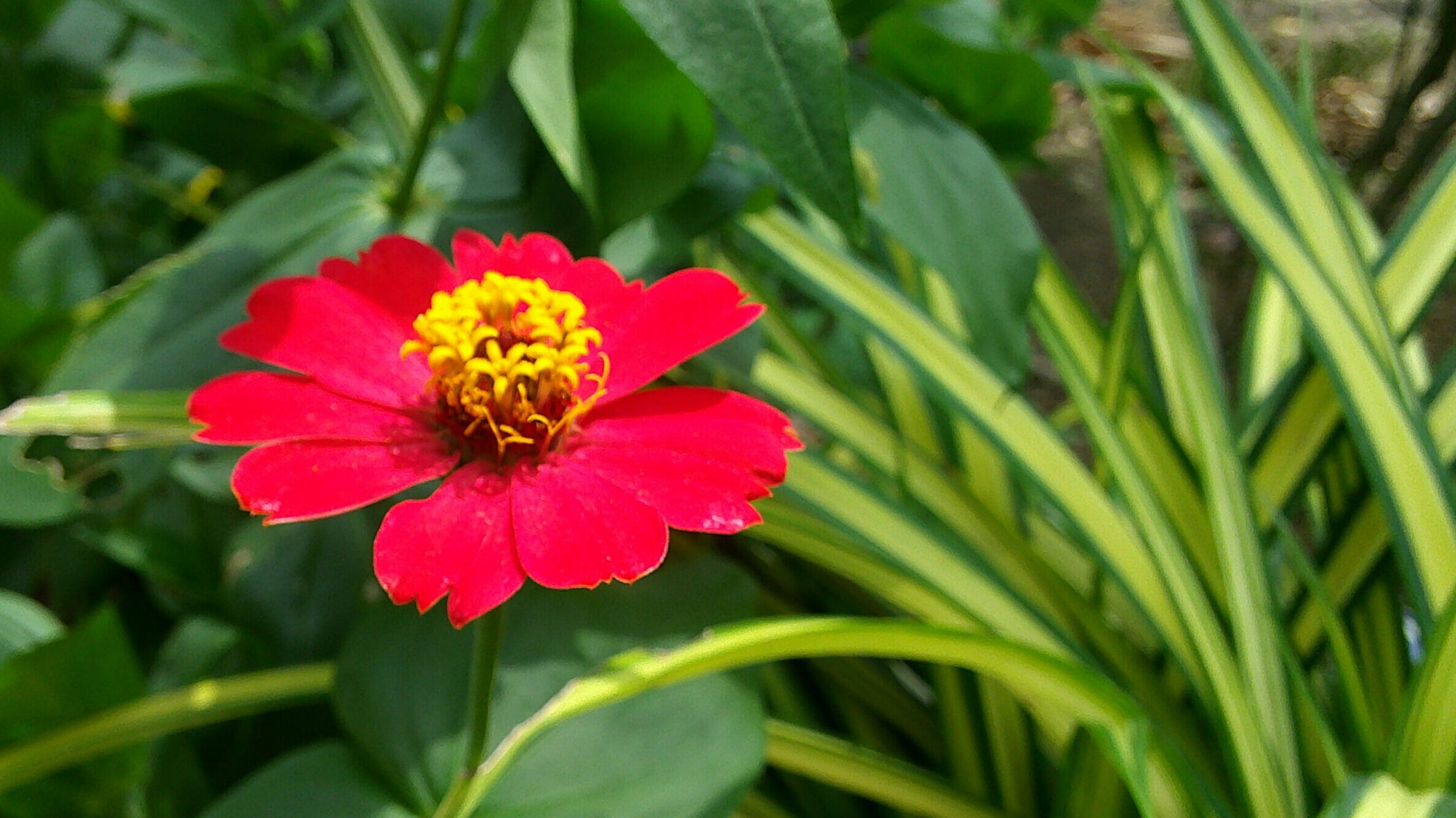 Tập trung